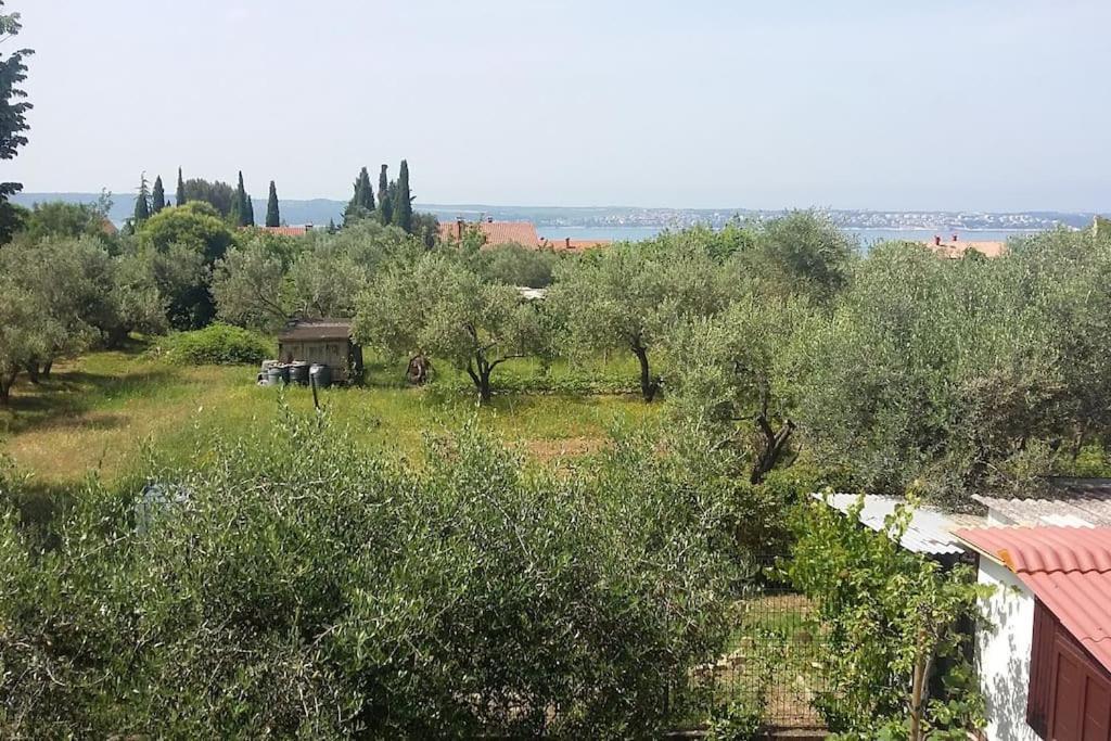 Apartment Apartma Iva