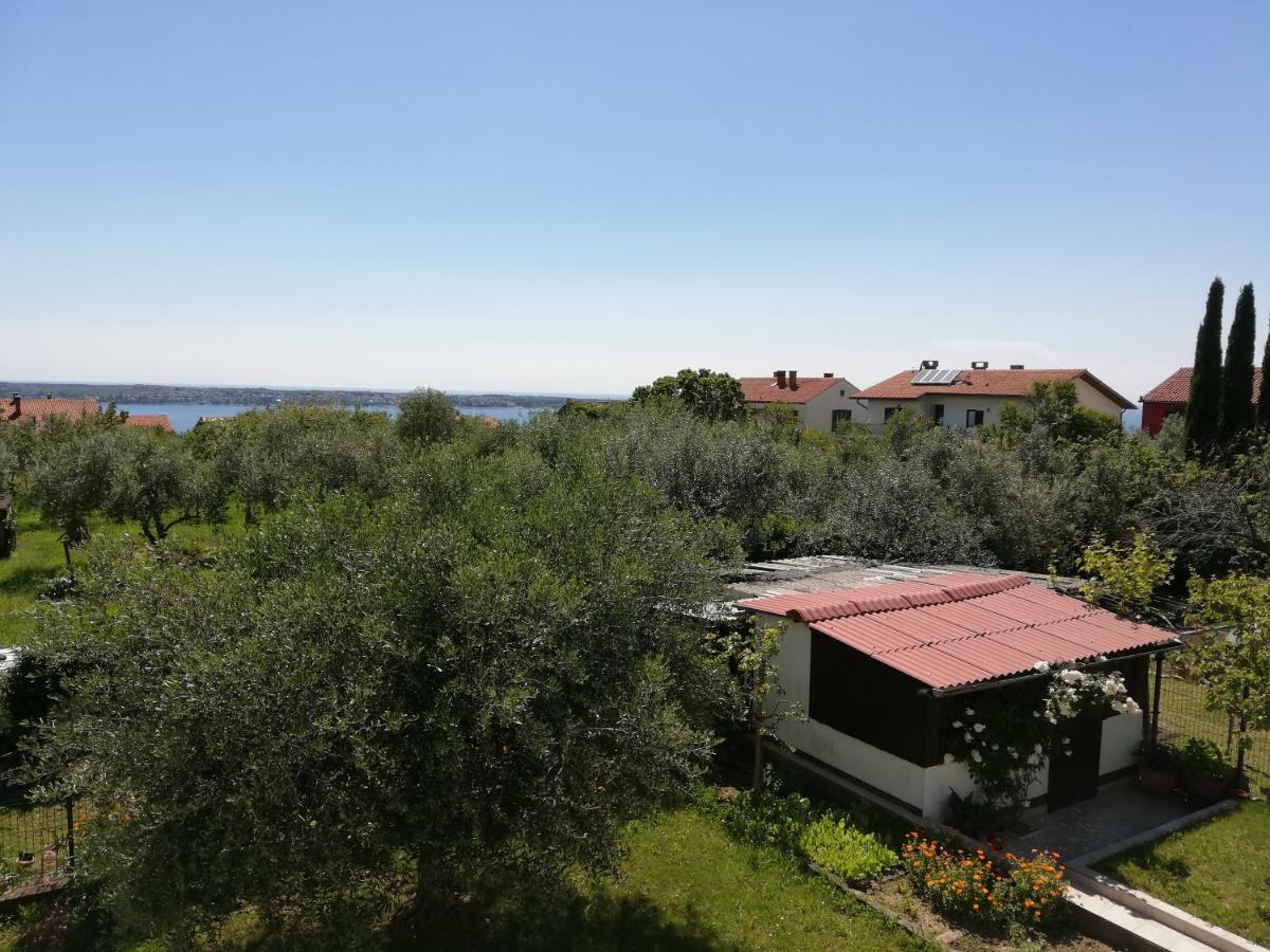Apartma Iva *