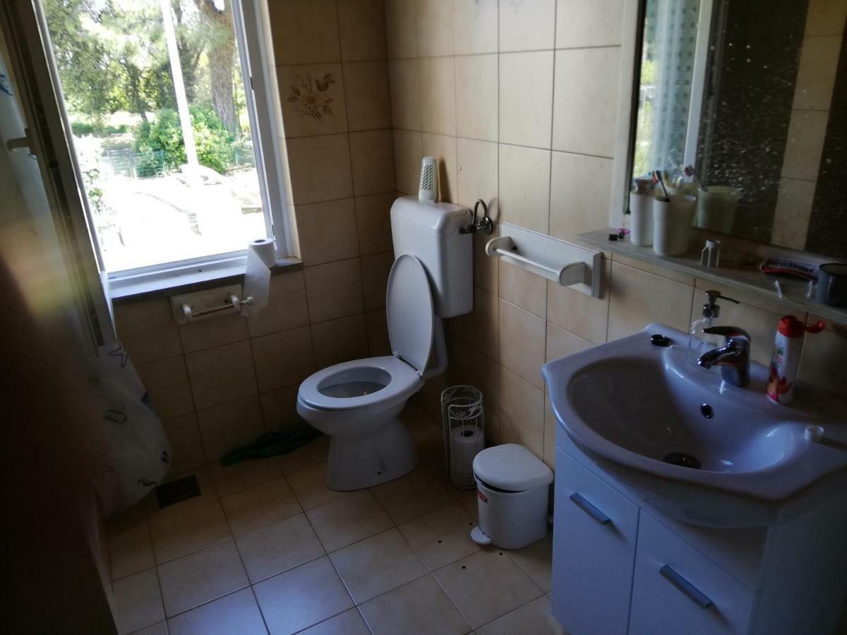 Apartma Iva Apartment