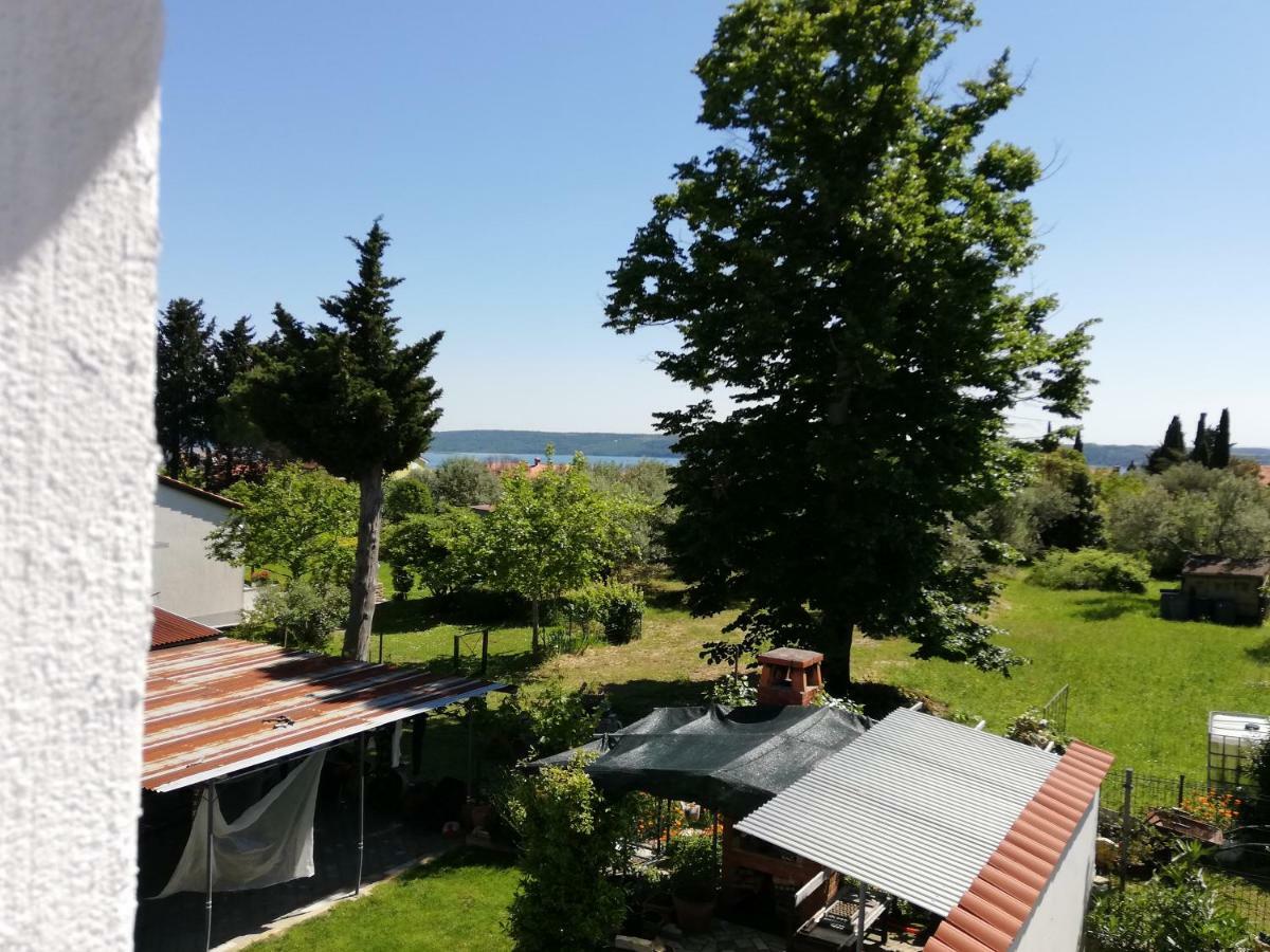 Apartment Apartma Iva *